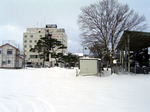 公園2